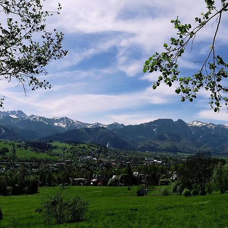 Villa Quality House - Cisza Nad Dolina Zakopane Esterno foto