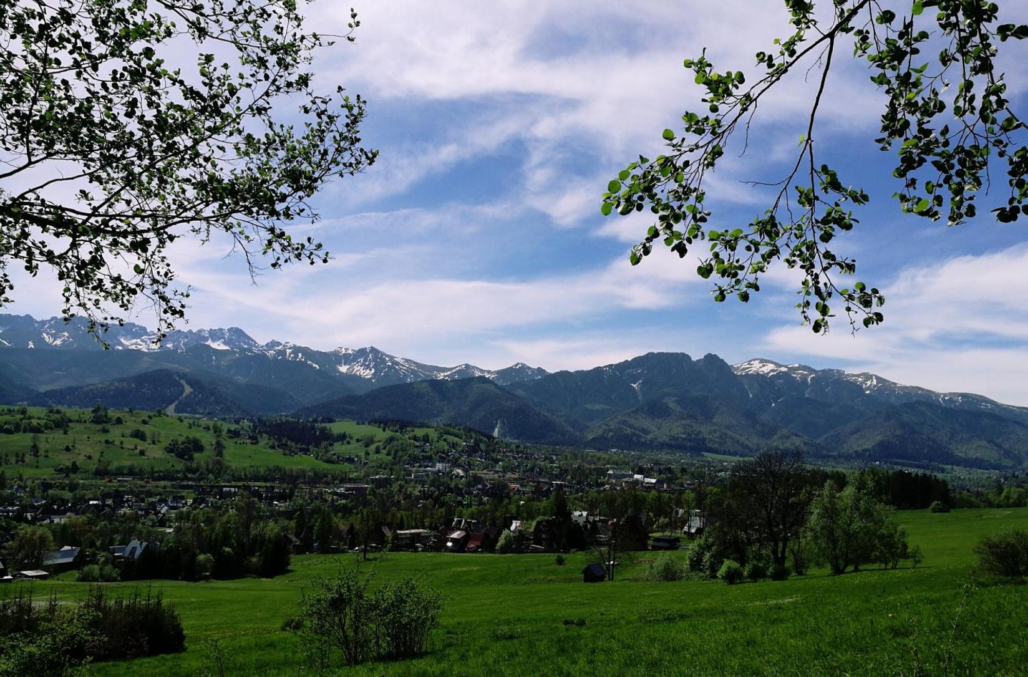 Villa Quality House - Cisza Nad Dolina Zakopane Esterno foto
